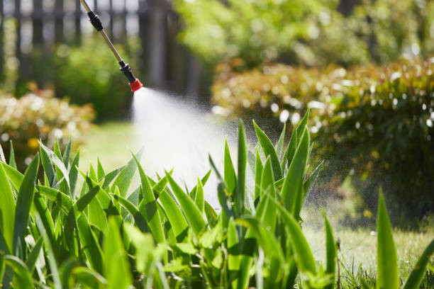 24/7 Emergency Fumigation Services experts in Hebron, OH